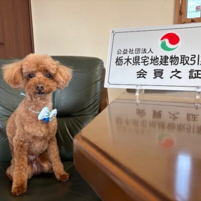 看板犬