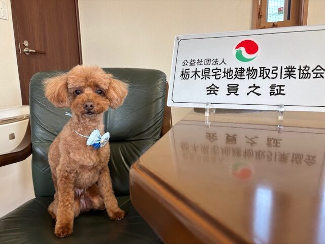 看板犬